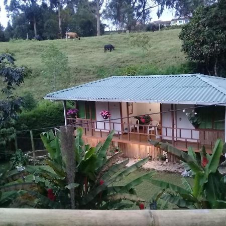 Hotel Selva Verde سالنتو المظهر الخارجي الصورة