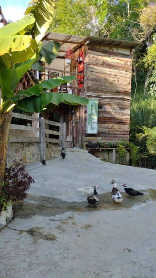 Hotel Selva Verde سالنتو المظهر الخارجي الصورة