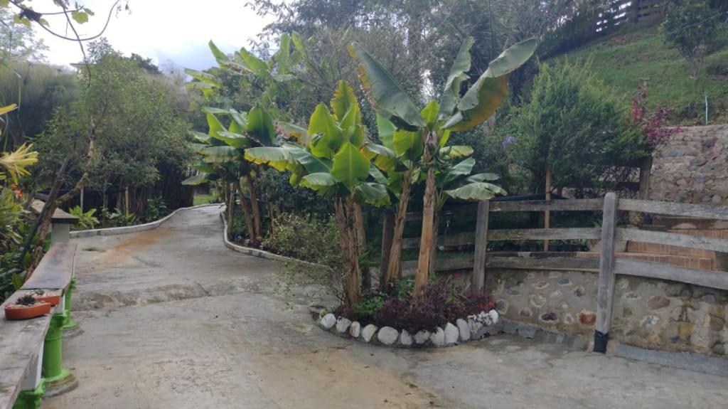 Hotel Selva Verde سالنتو المظهر الخارجي الصورة