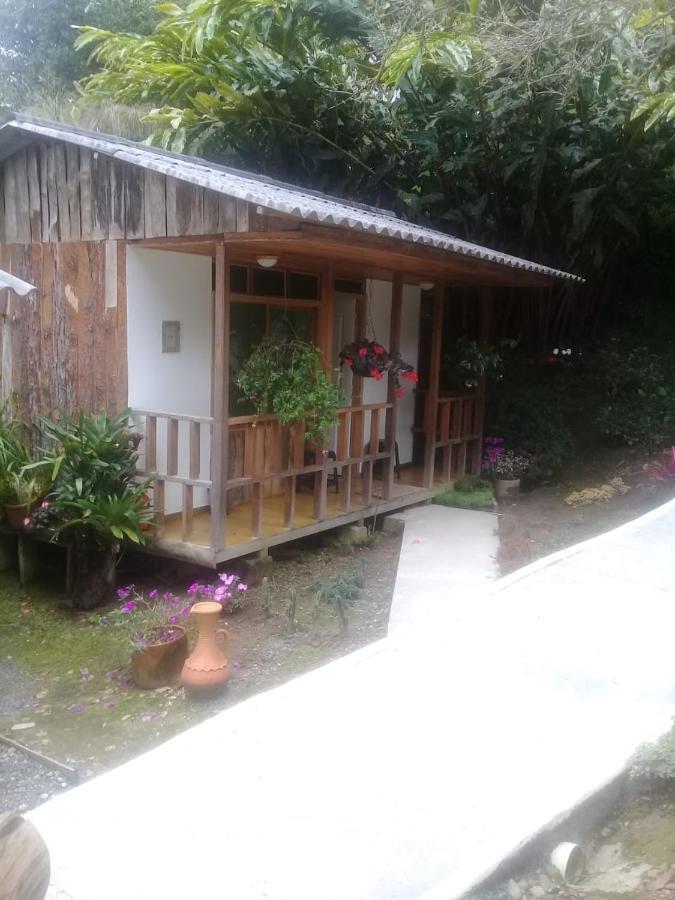 Hotel Selva Verde سالنتو المظهر الخارجي الصورة