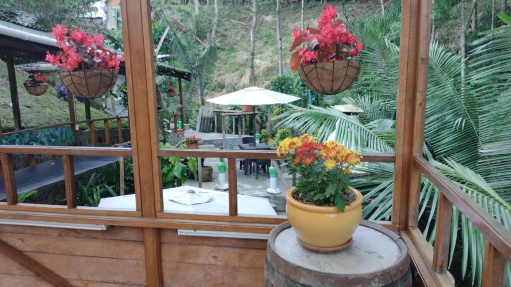 Hotel Selva Verde سالنتو المظهر الخارجي الصورة