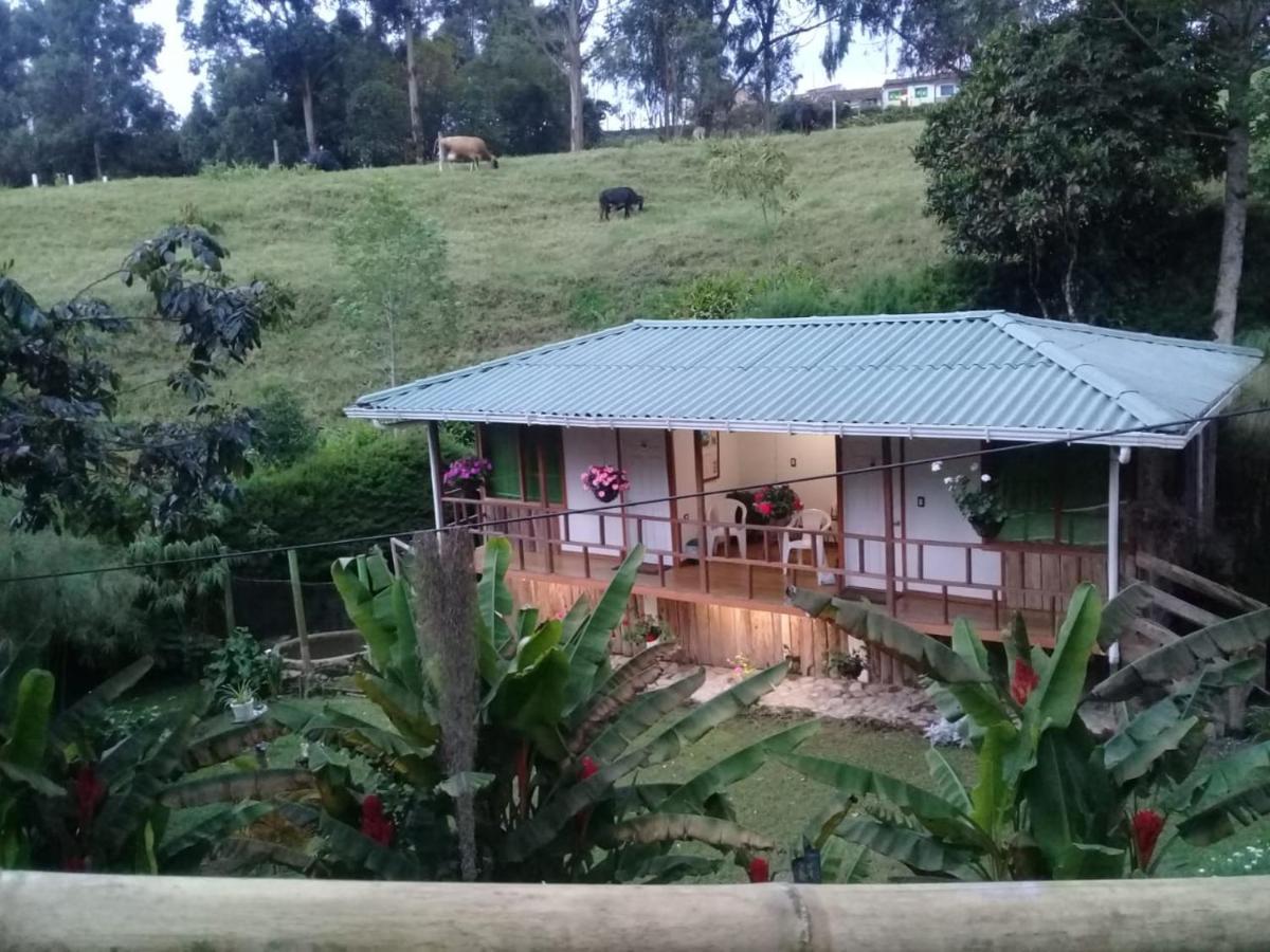 Hotel Selva Verde سالنتو المظهر الخارجي الصورة