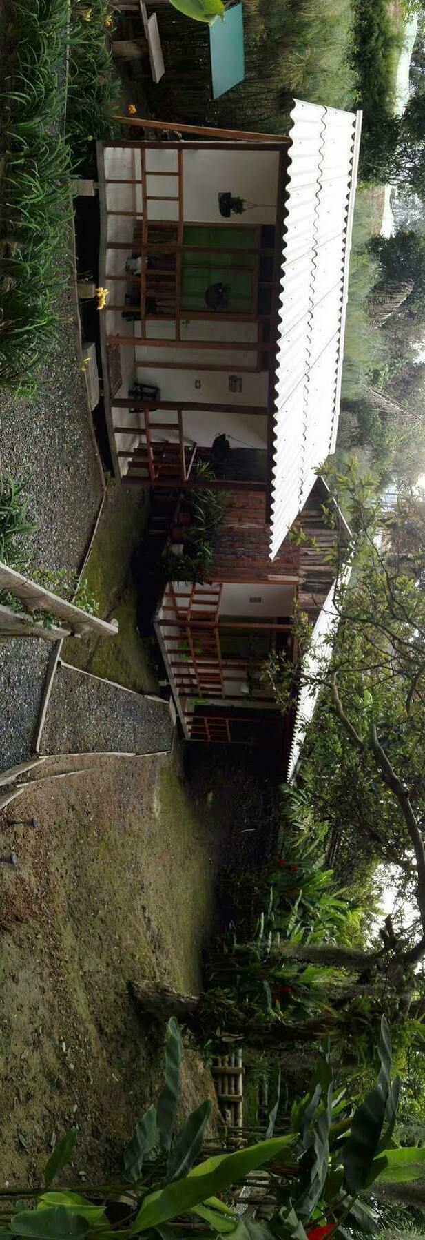 Hotel Selva Verde سالنتو المظهر الخارجي الصورة